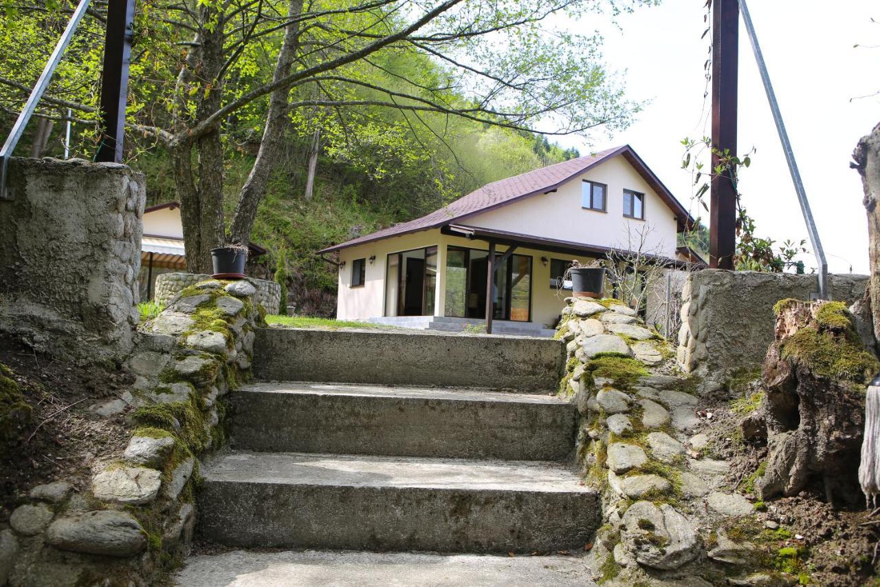 Pensiunea Tudor Breaza Zewnętrze zdjęcie